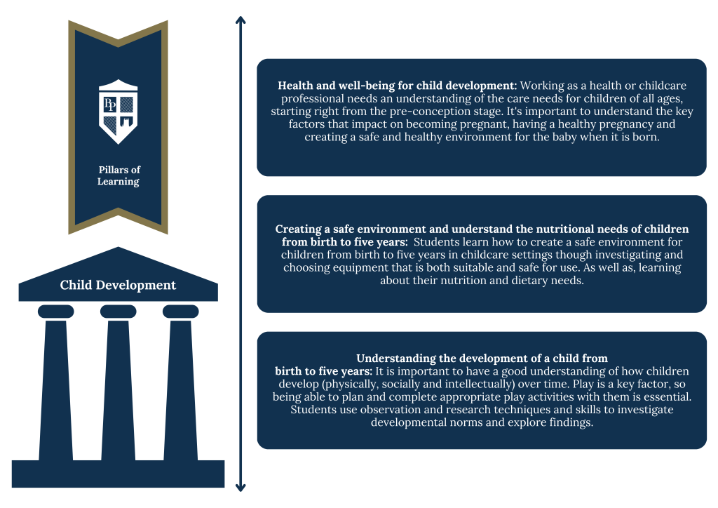 Curriculum Pillars Child Development